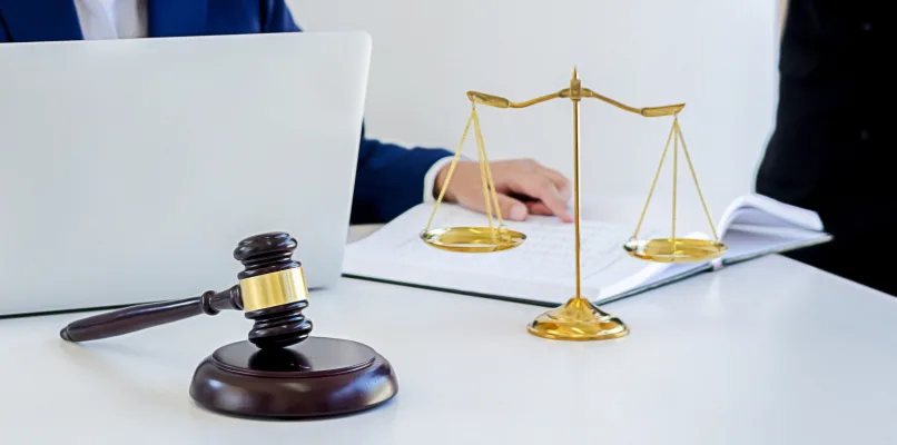 Expertise & Professional Legal Support